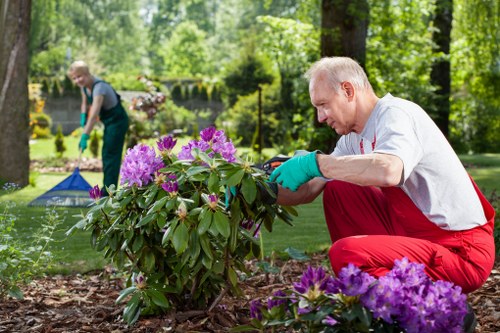 Accessible website mockup showing headings and readable text for gardening services