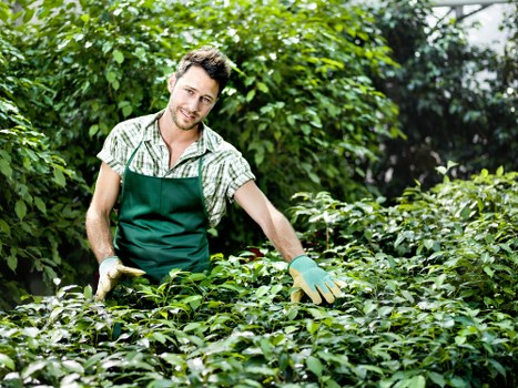 Gardener inspecting a residential garden entrance
